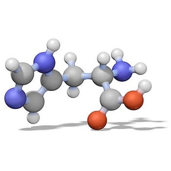 Chromolith (R) DIOL 5-4.6 保护柱 3 件 153175 1STMerck(默克密理博)1.53175.0001